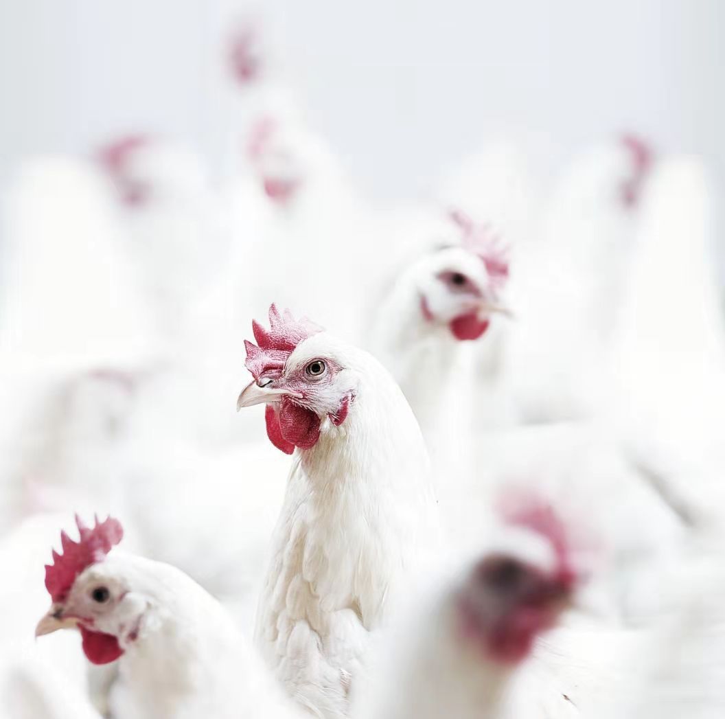 CBPay钱包 -便捷数字钱币支付工具