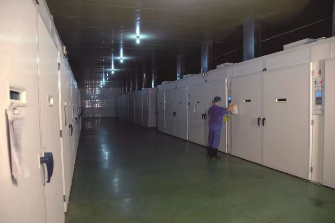 CBPay钱包 -便捷数字钱币支付工具