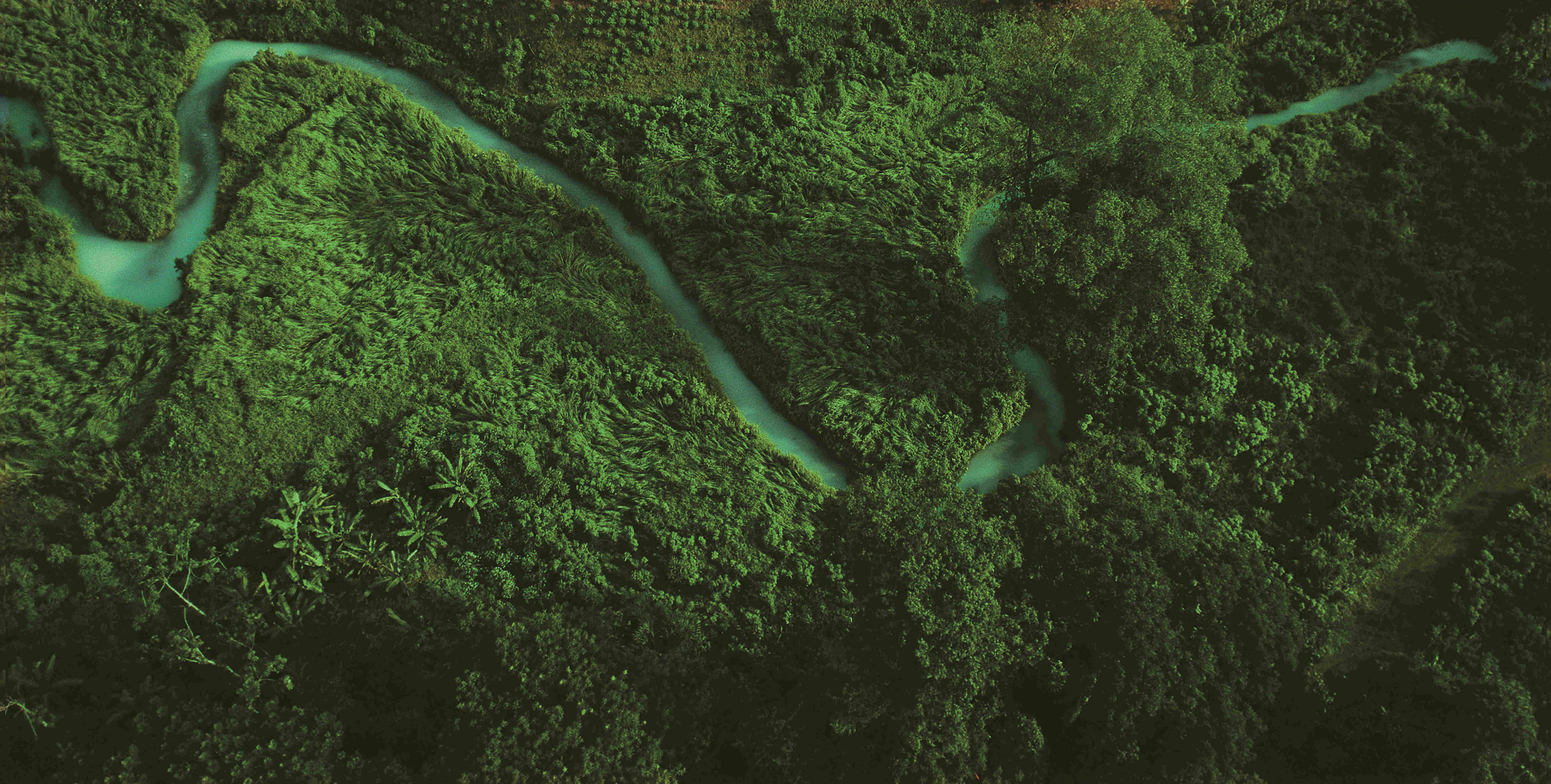 CBPay钱包 -便捷数字钱币支付工具