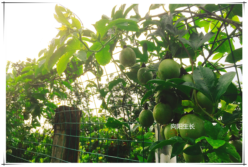 CBPay钱包 -便捷数字钱币支付工具