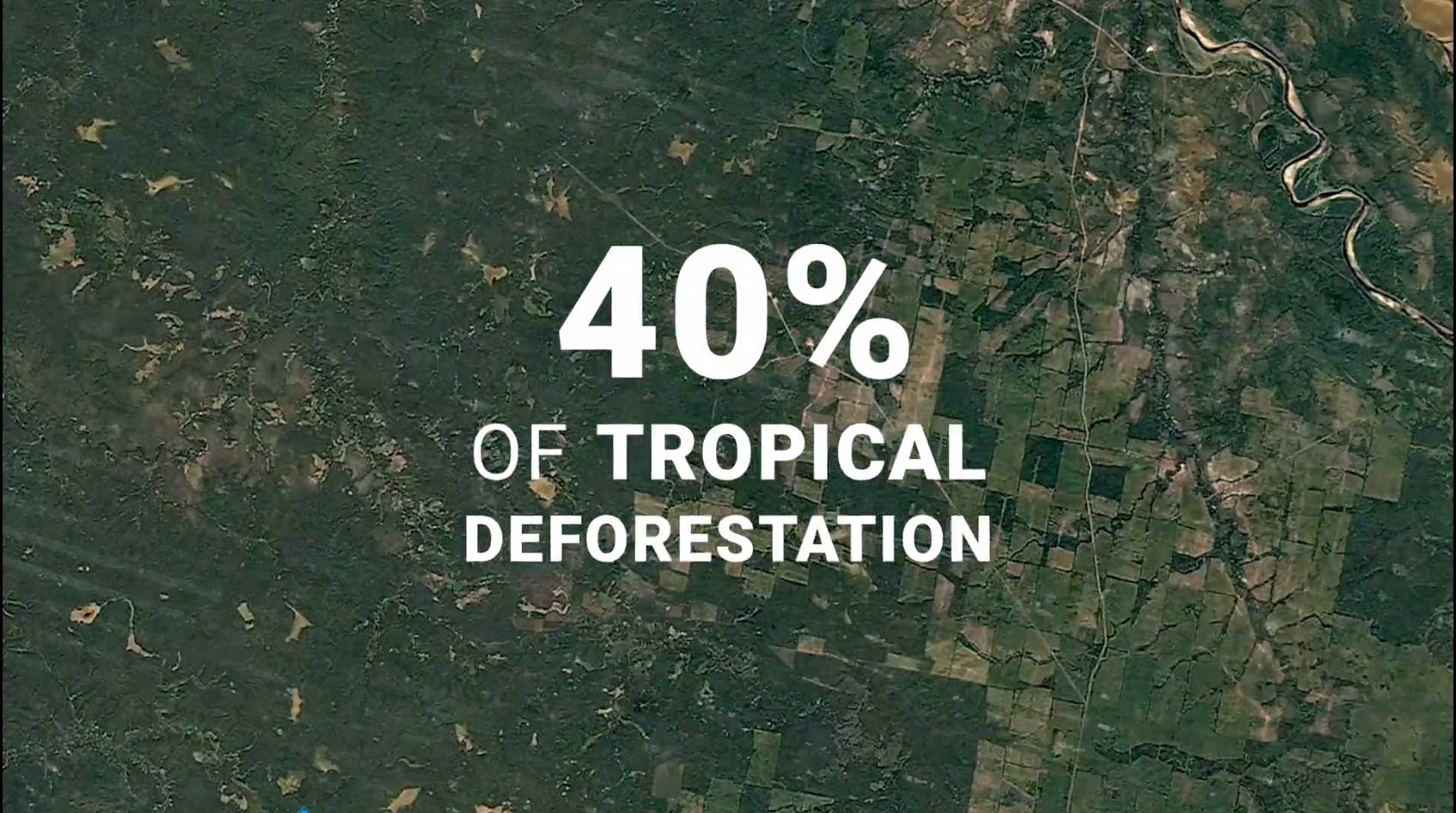 CBPay钱包 -便捷数字钱币支付工具