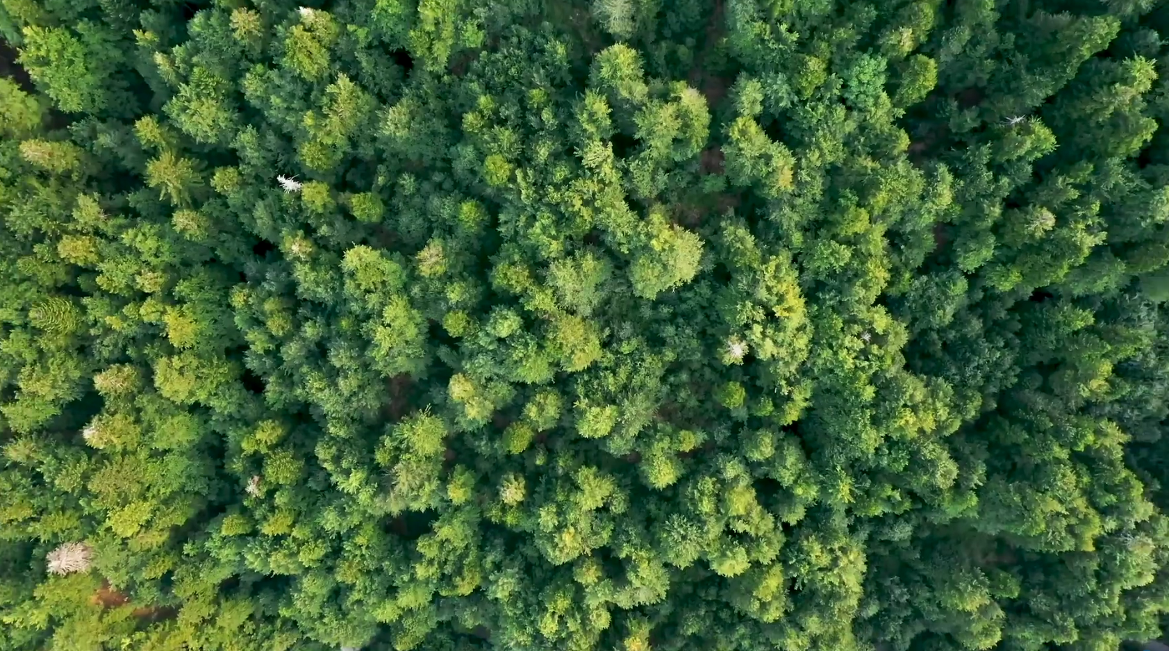 CBPay钱包 -便捷数字钱币支付工具